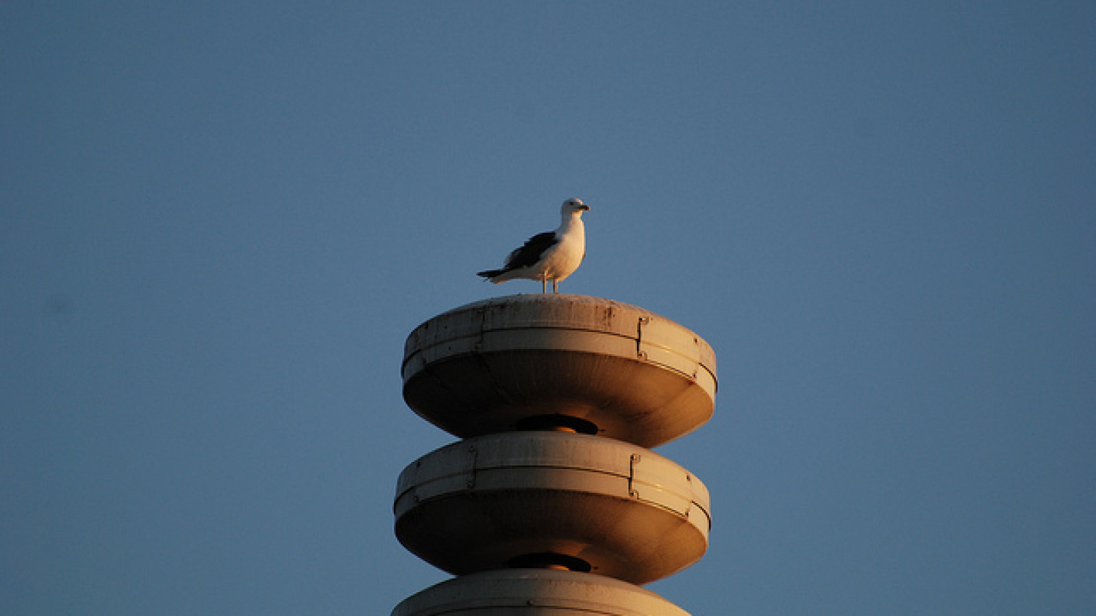 Tim Geers/Flickr