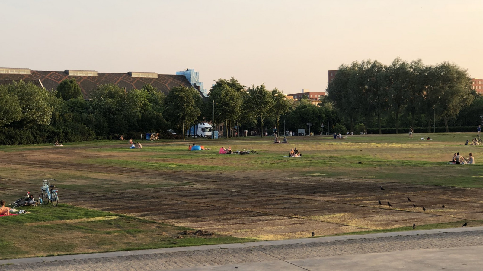 Vrienden van het Westerpark
