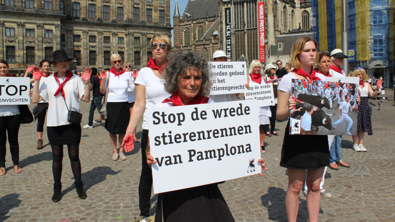 Comité Anti Stierenvechten