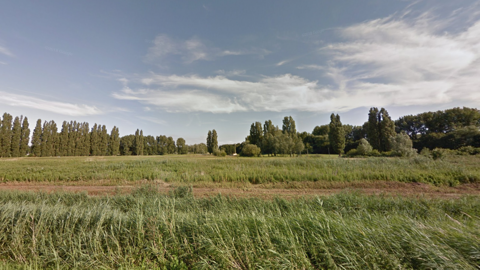 Google Maps