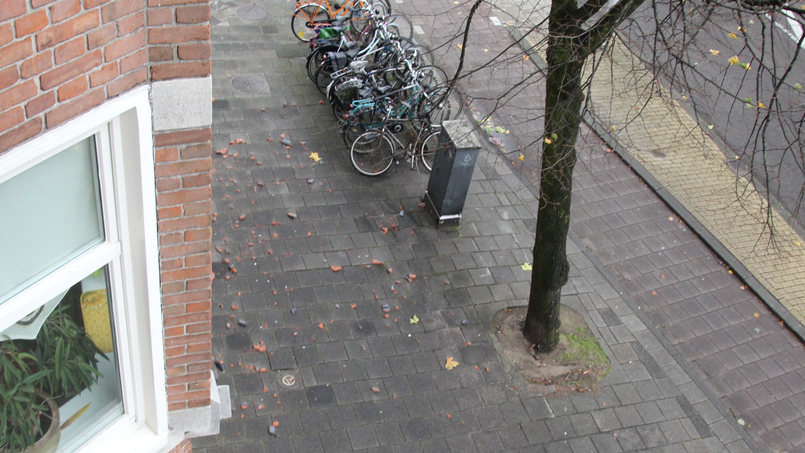 Op de Wielingenstraat staan de bomen nog, er komen alleen wat dakpannen naar beneden.