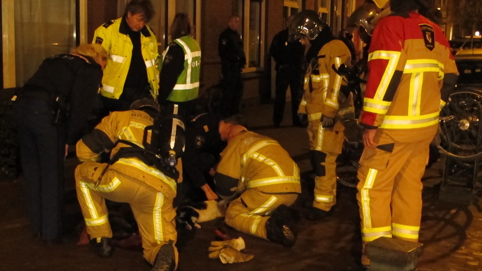 Brandweer reanimeert katten bij brand in pizzeria