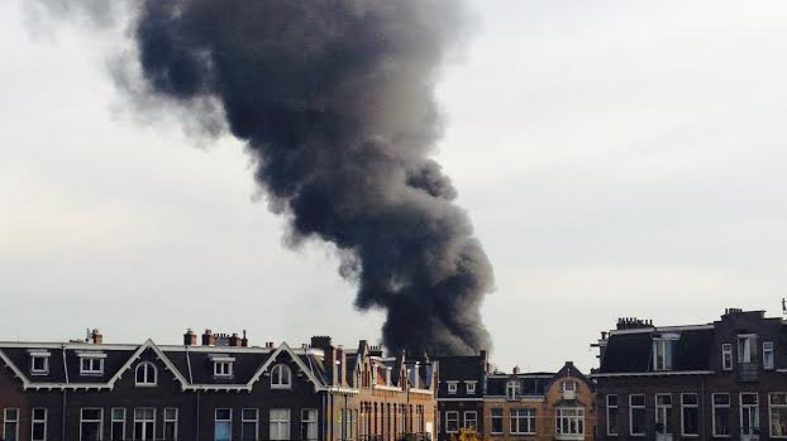 Felle brand in Vondelpark onder controle, geen gewonden