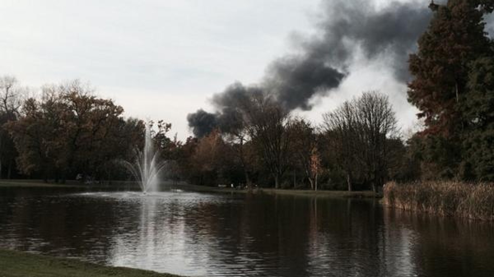 Felle brand in Vondelpark onder controle, geen gewonden