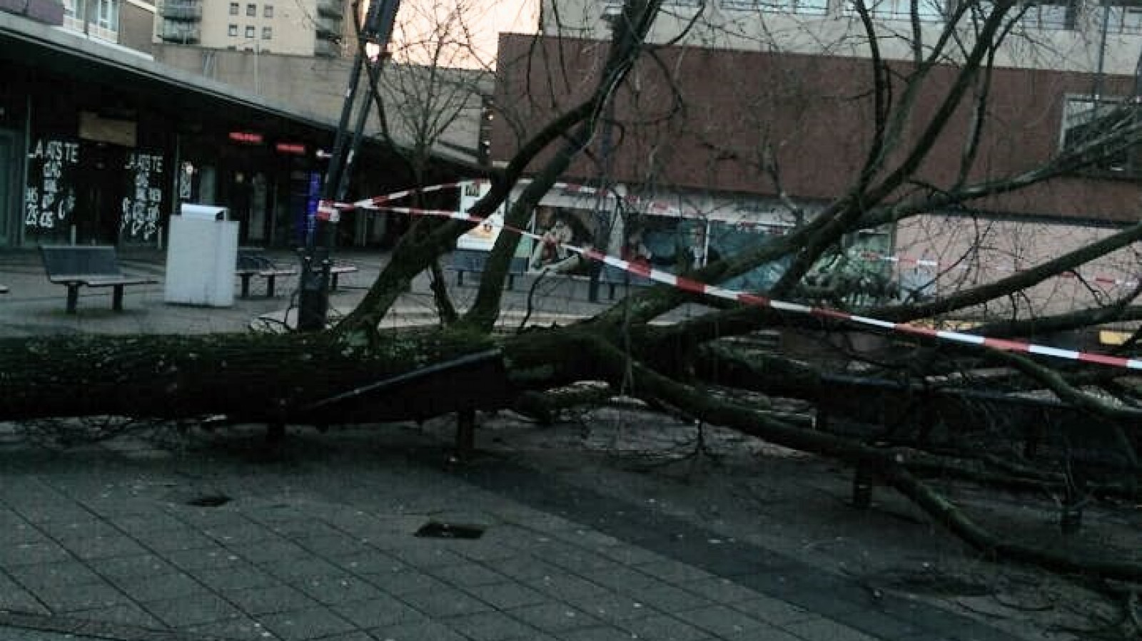 Omgevallen boom storm wind Osdorpplein