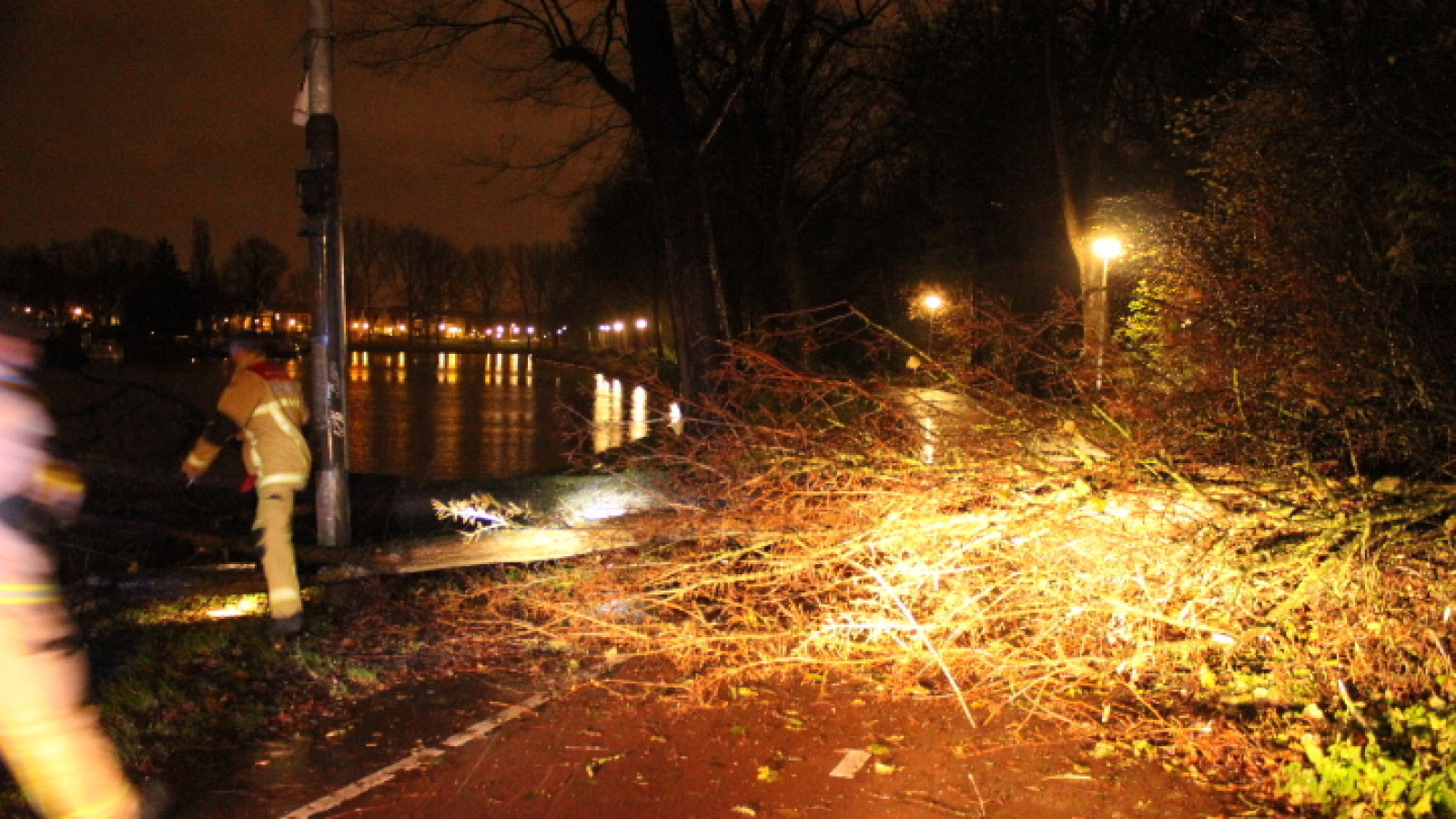 storm buiksloterweg 29 november omgevallen boom