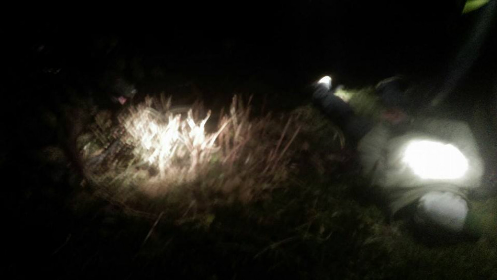 Koperdief in arm gebeten door politiehond AT5