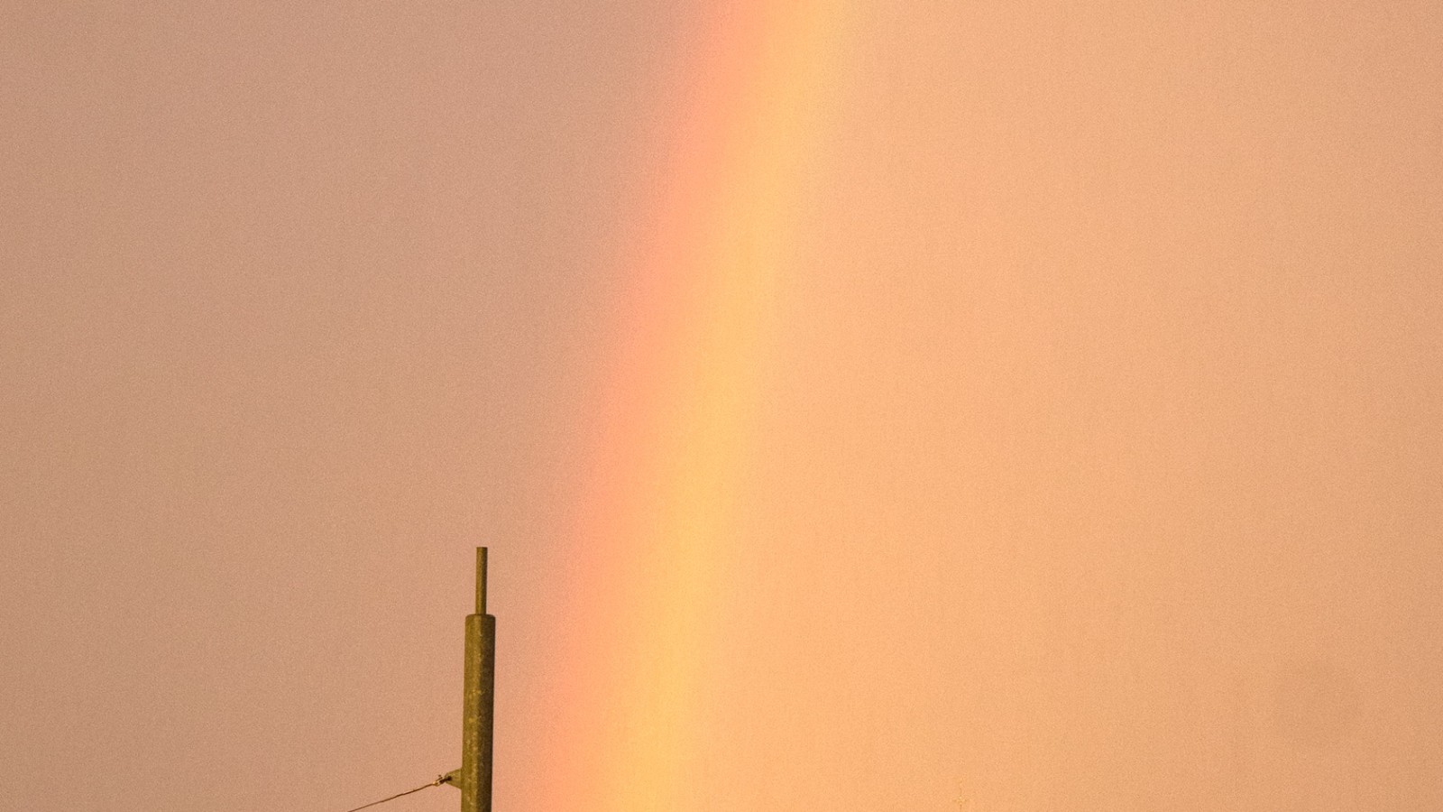 Westertoren-regenboog.jpg