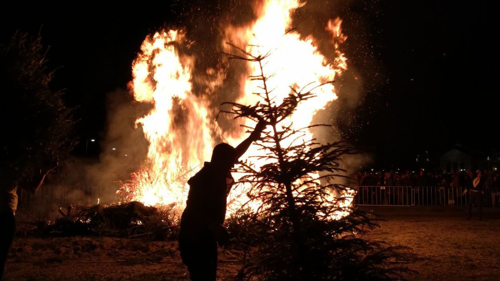 kerstboomverbranding kerstbomenverbranding kerst stock algemeen 