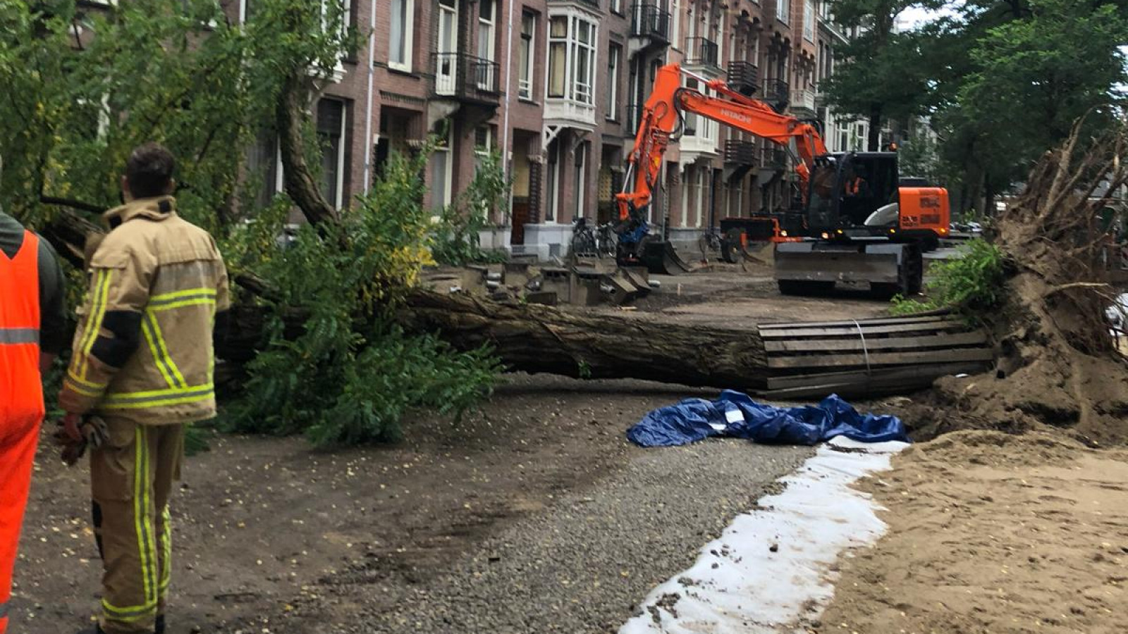 Omgevallen boom Van Breestraat
