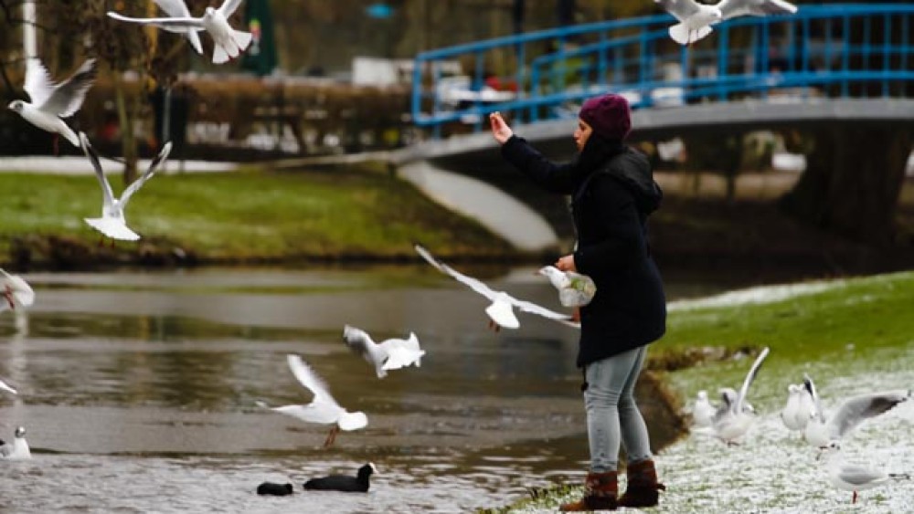 IJsdagen op komst met kleine kans op witte kerst AT5