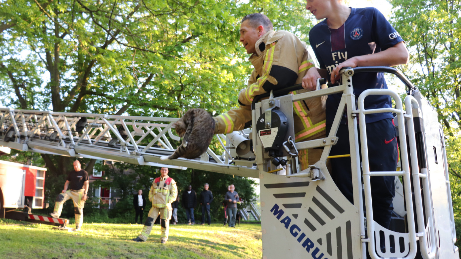 brandweer redt kat en jongen uit boom