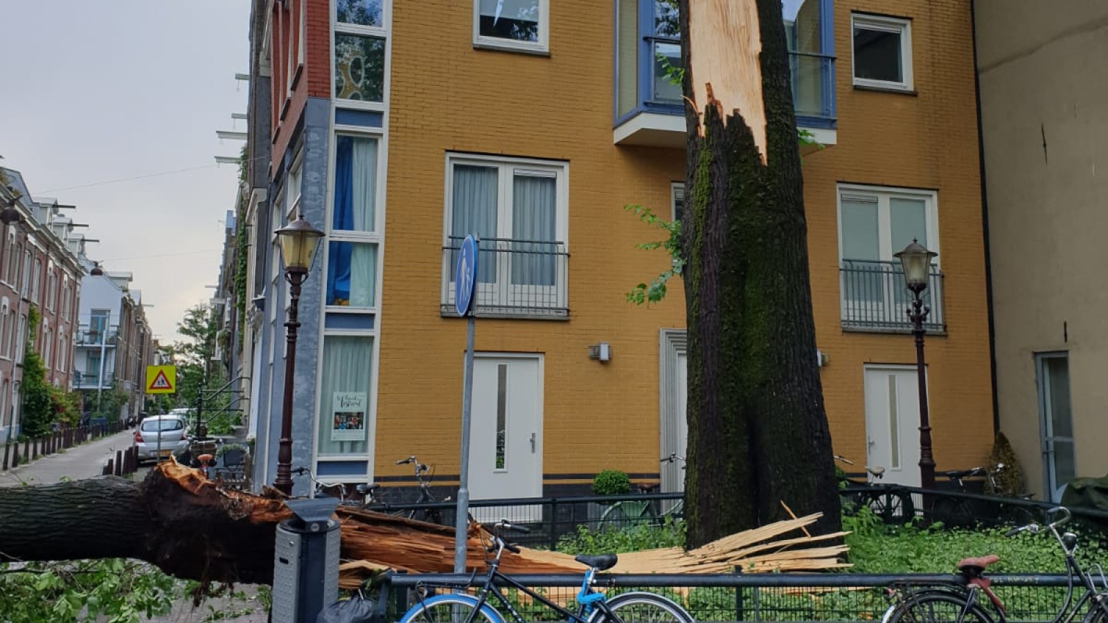 boom omgewaaid storm anjeliersstraat