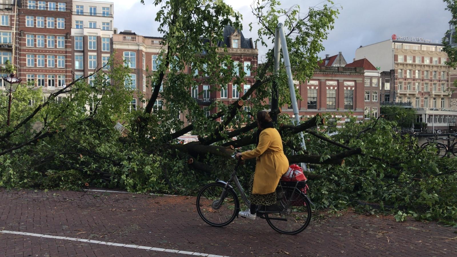 omgewaaide bomen storm Amstel