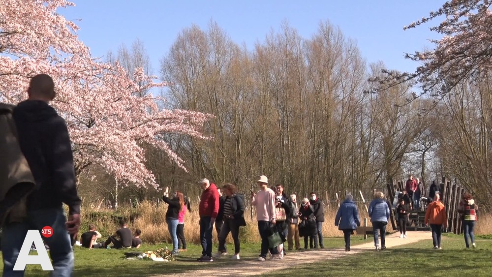 Bloesempark in Amsterdamse Bos drukbezocht: 