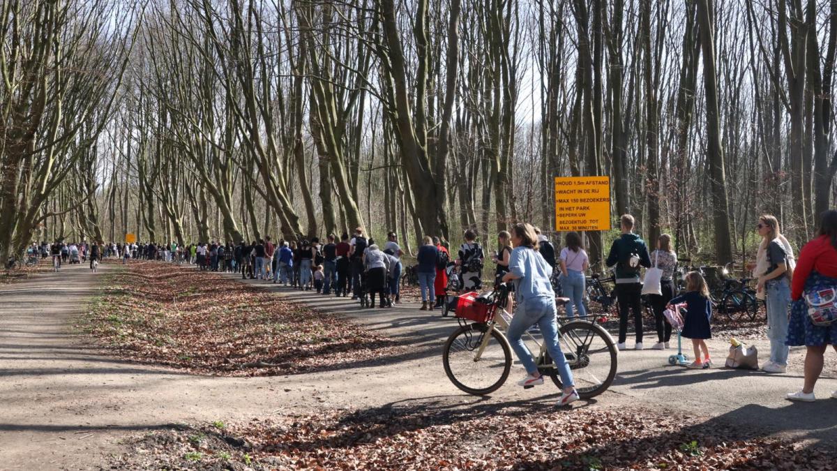 Lange rij voor Bloesempark in Amsterdamse Bos