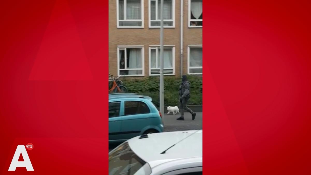 Arrestatieteam valt appartement in Geuzenveld binnen, EOD aanwezig