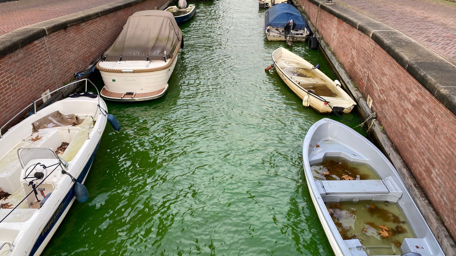 Groen water