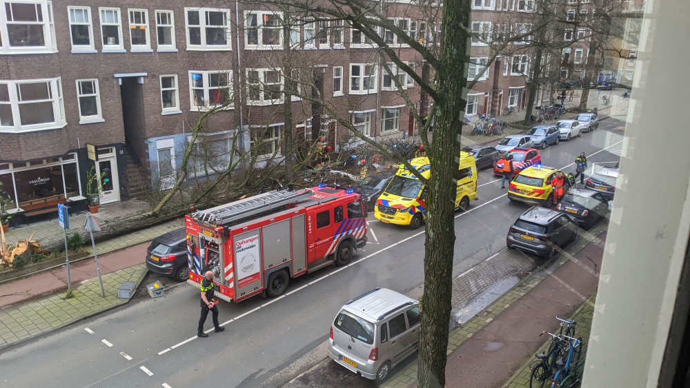 Dead by fallen tree on Aalsmeerweg