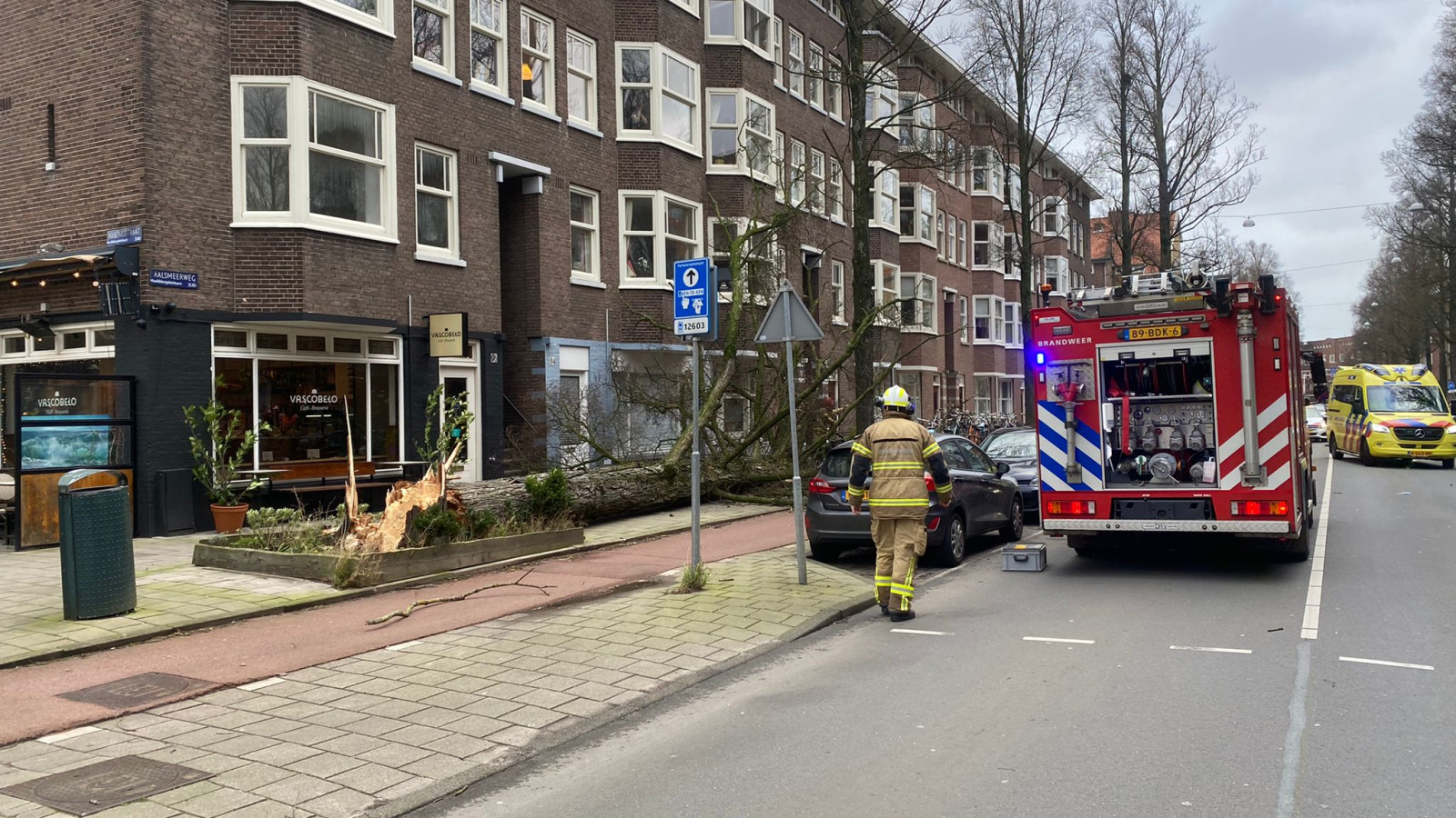 Zwaargewonde door omgevallen boom op Aalsmeerweg