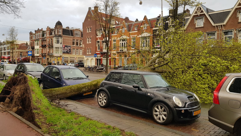 Tree fell on Middenweg, damage to car and tram line