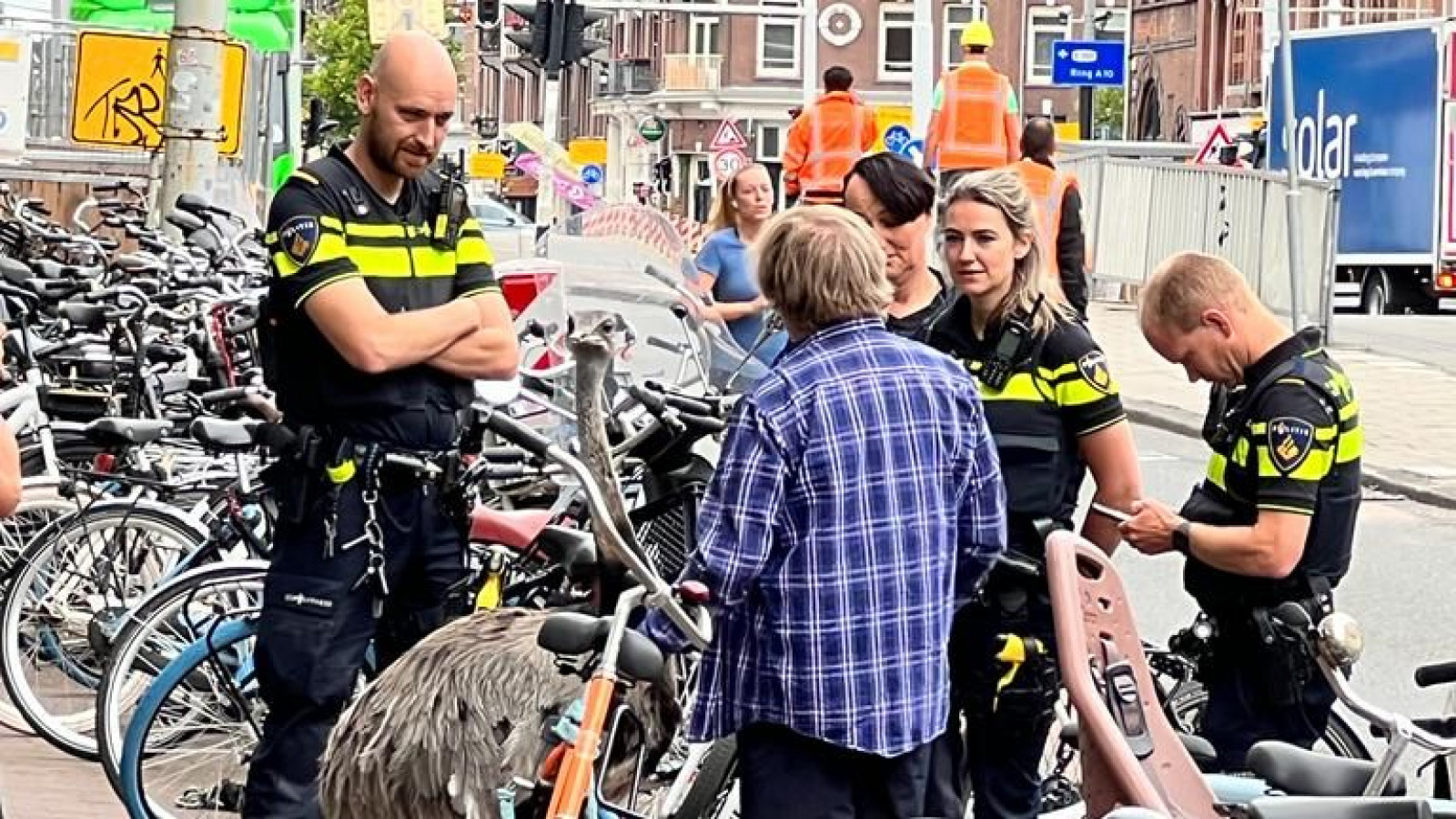 Nandoe op de Rozengracht