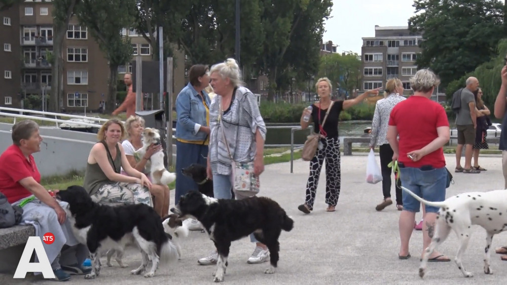 Hondenbezitters willen Erasmuspark terug: ''Park is van iedereen, maar