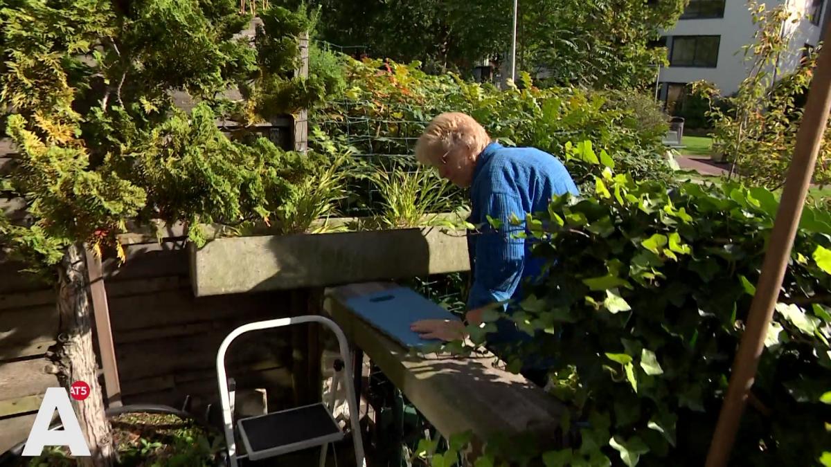 Tuinieren met gevaar voor eigen leven: de Straten in de Domselaerstraat