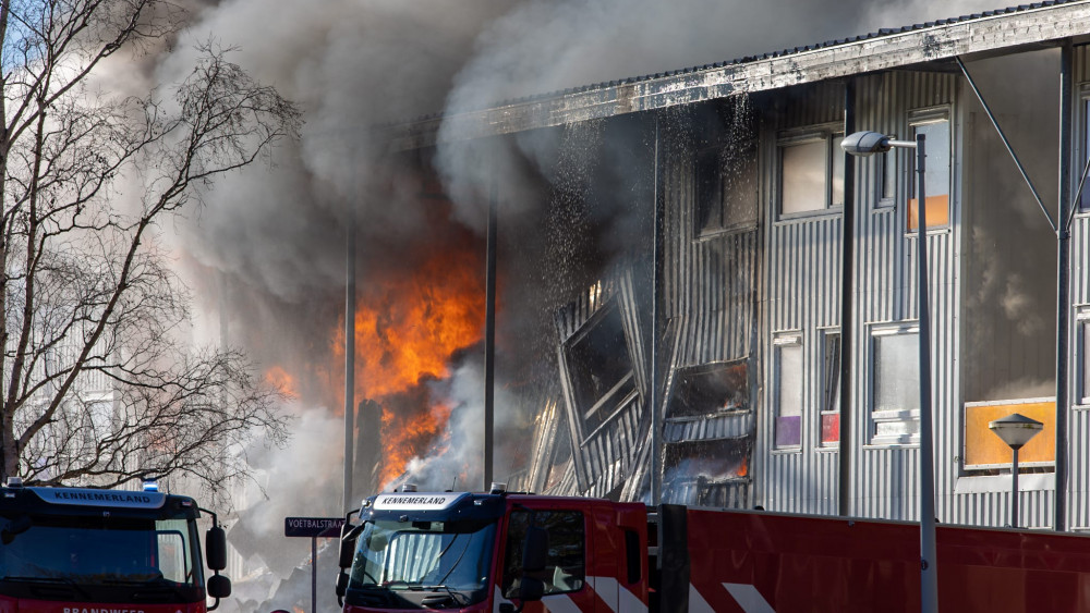 Six cats and a lizard died after a fire in Riekerhaven