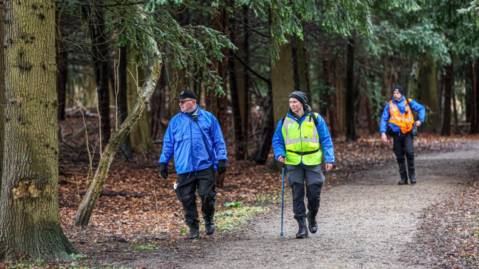 Veteranen Search Team zoekt in Amsterdamse Bos