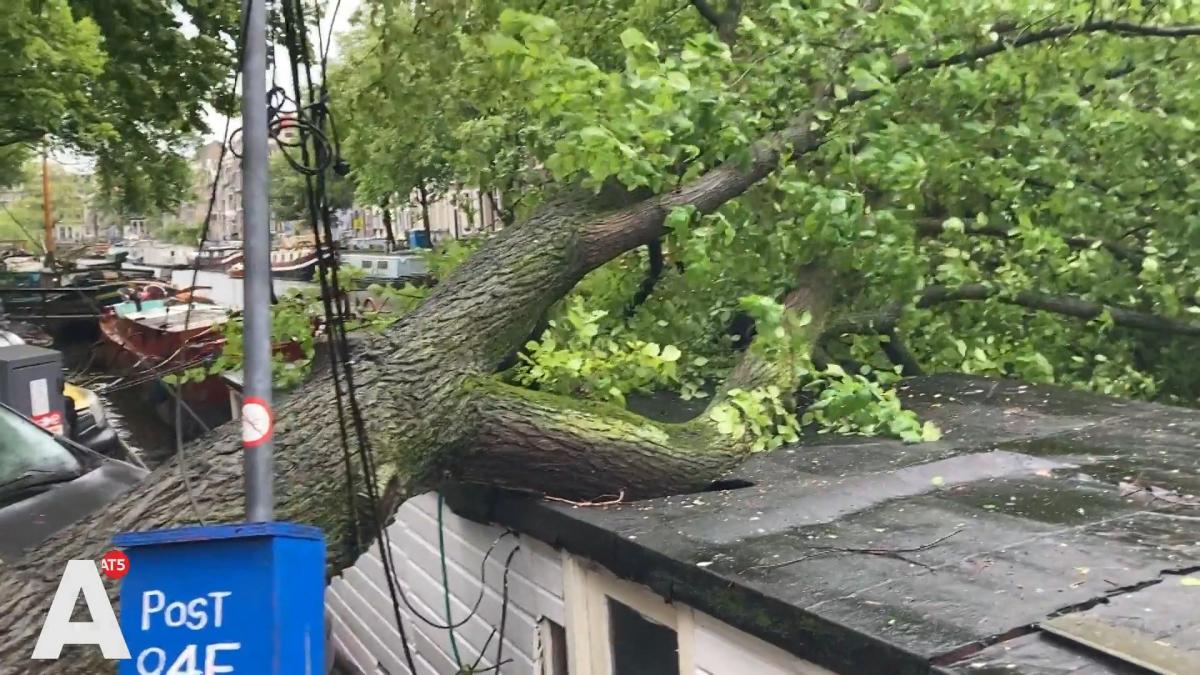 Beeld: zo raast storm Poly door de stad - AT5