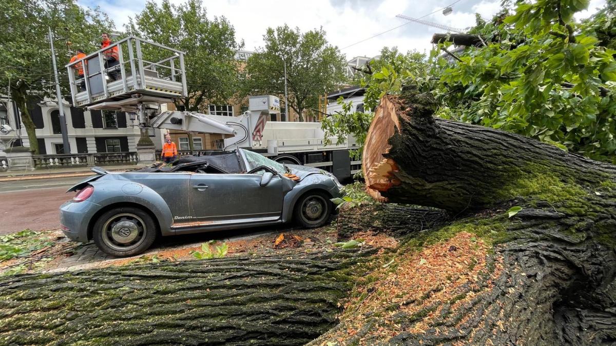 Liveblog storm Poly: zeker 100 bomen omgevallen, tot diep in de nacht ...