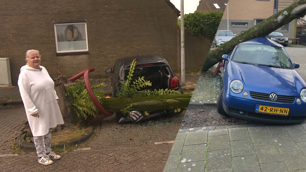 Twee auto's kapot door een boom erop: Joke alweer dupe van storm - AT5