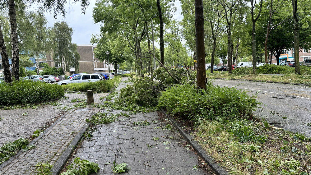 Liveblog Storm Poly: Zeker 100 Bomen Omgevallen, Tot Diep In De Nacht ...