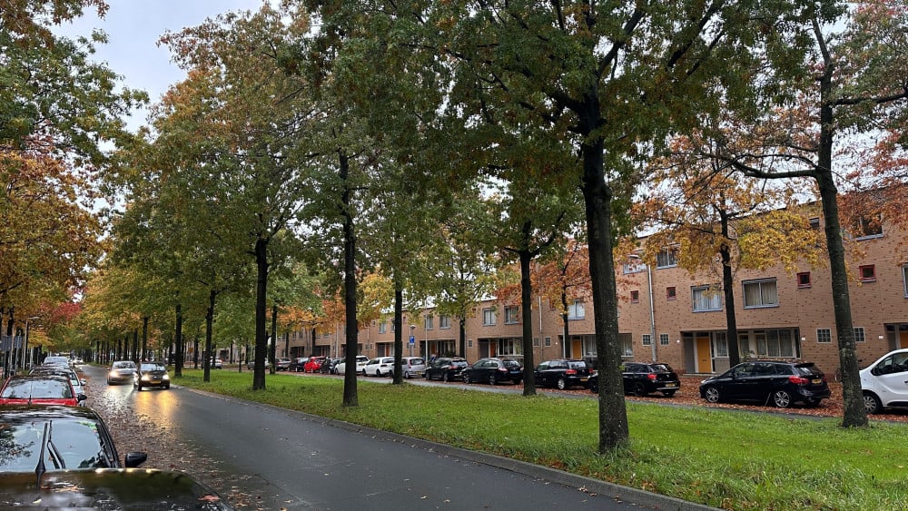 Gemeente leest vonnis verkeerd: knip Laan van Vlaanderen gaat door, boetes blijven staan