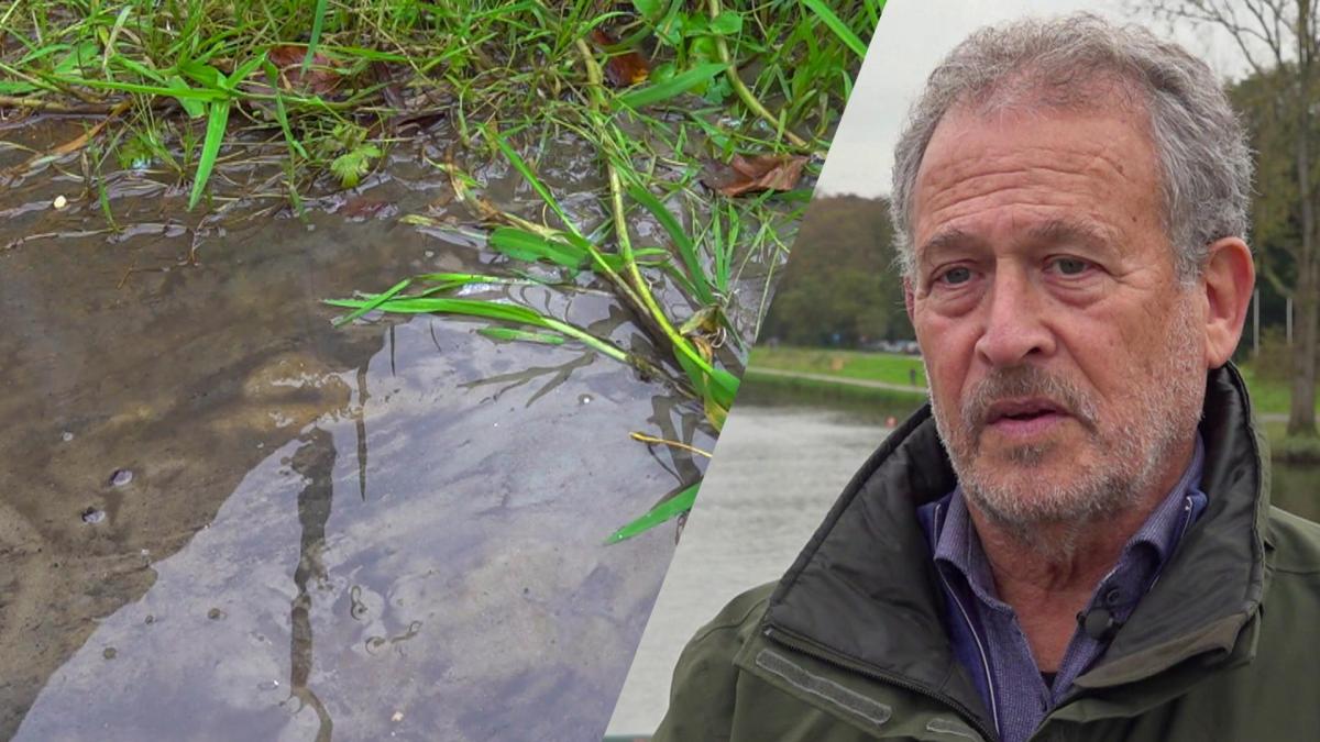 Gemeente Amsterdam verzwijgt bodemvervuiling Amsterdamse Bos