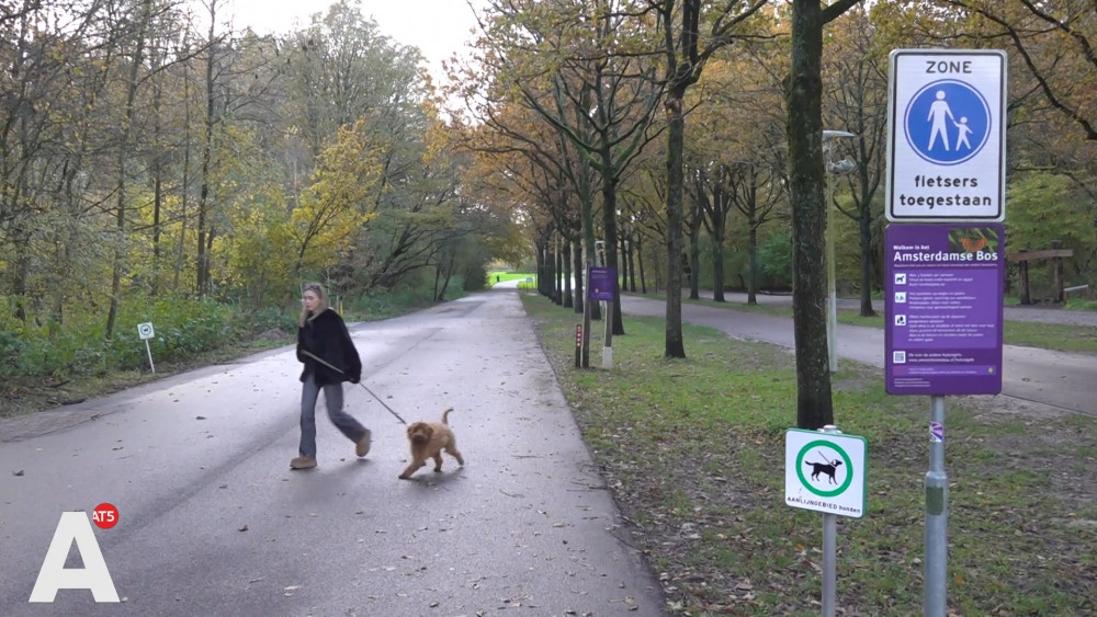 Ook politie doet oproep na incidenten: houd je hond in Amsterdamse Bos aan de lijn