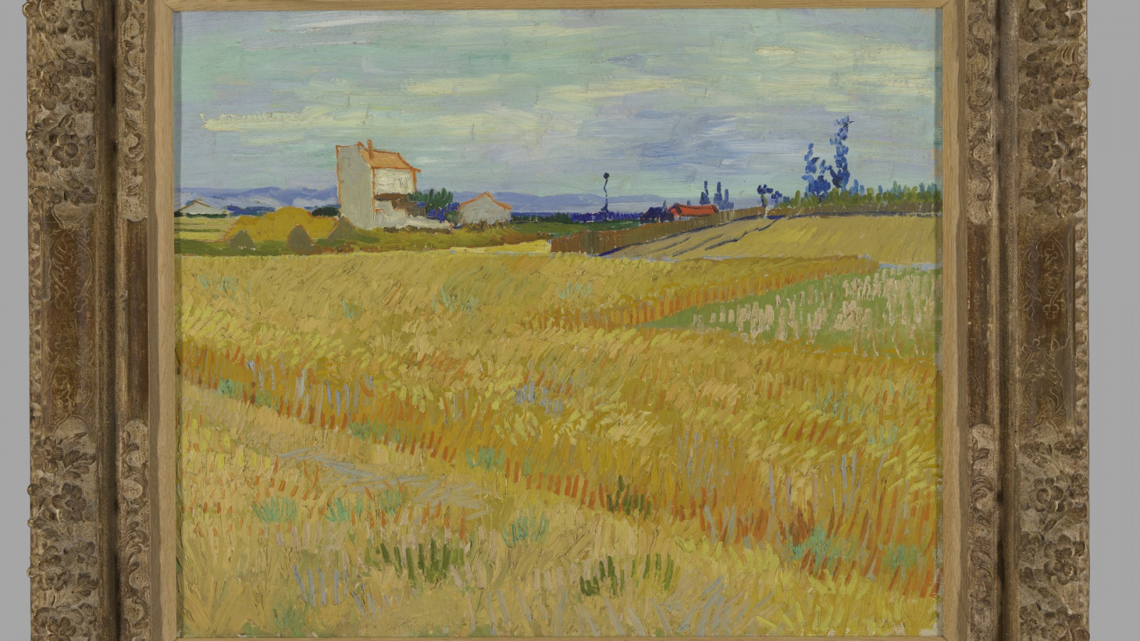 'Korenveld' (1888) van Vincent van Gogh 
