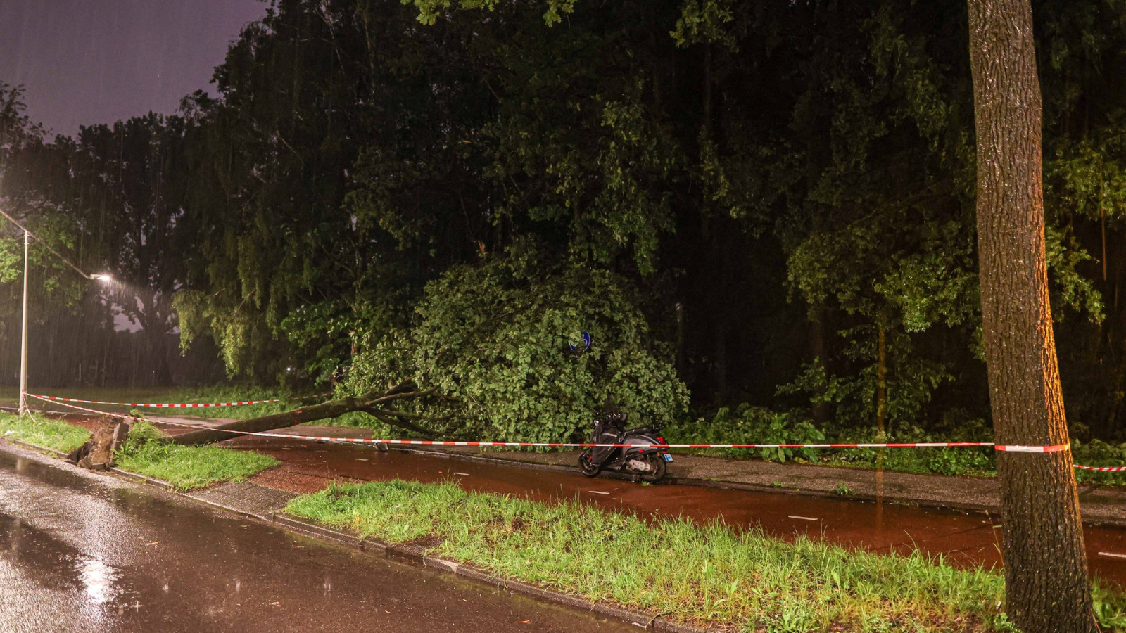 Scooterrijder rijdt tegen boom in Nieuw-West 