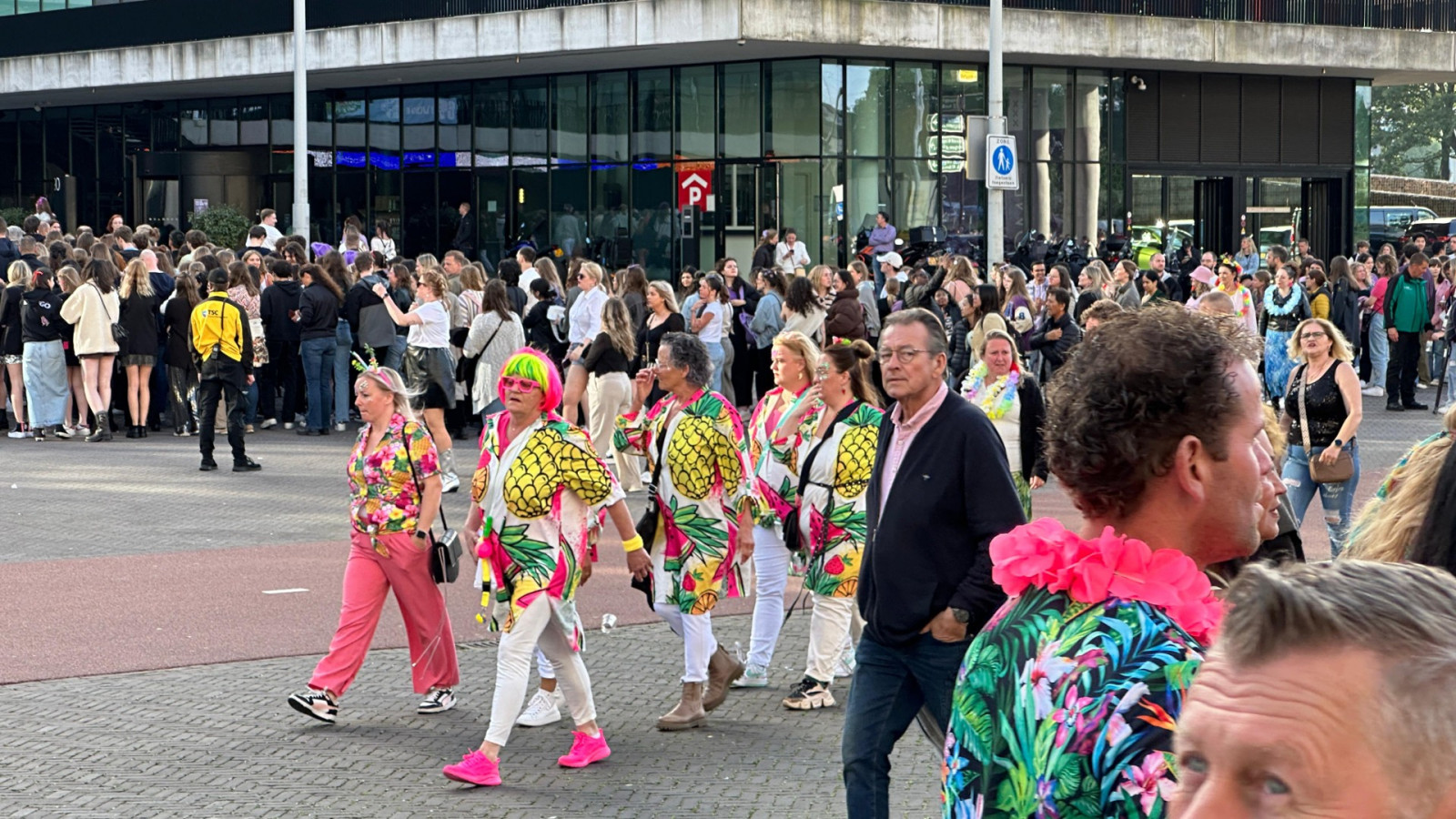 Fans bij concert van De Toppers 