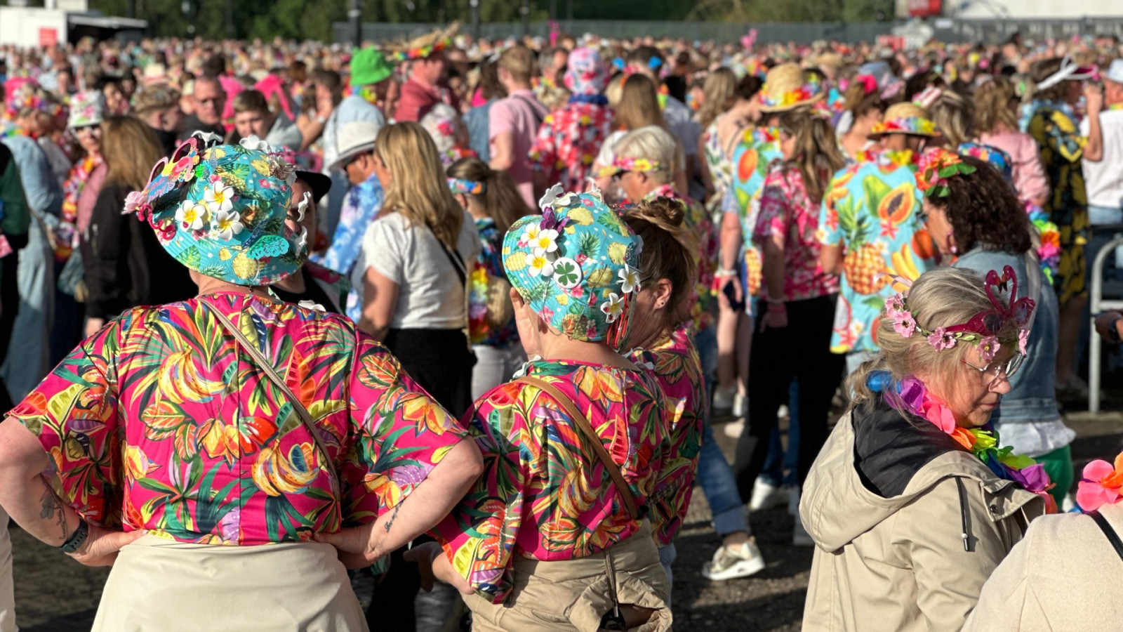 Fans bij concert van De Toppers 