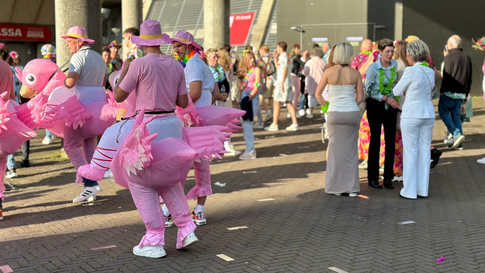 Fans bij concert van De Toppers 