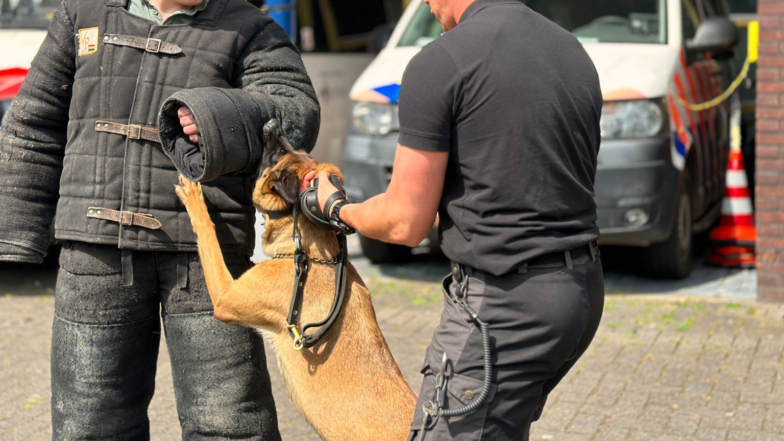 Een politiehond tijdens een oefening