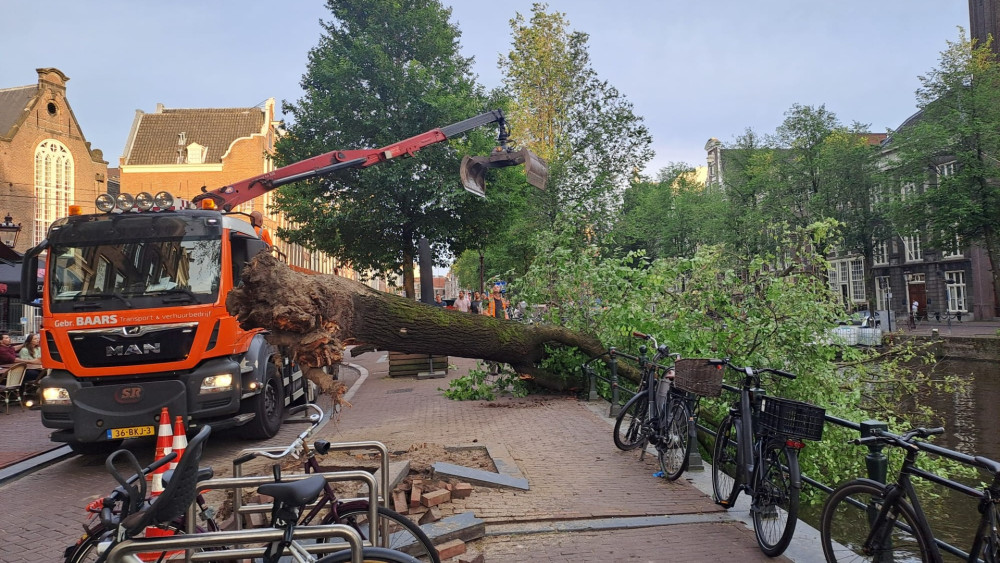 Nauwelijks wind, toch valt boom in Singel