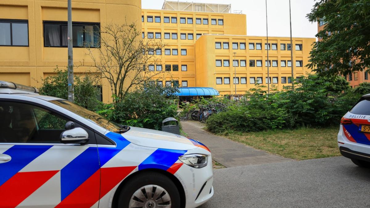 Camerabeelden, smoelenboek en dna: zo kwam verdachte moord op Lisa in beeld bij de politie