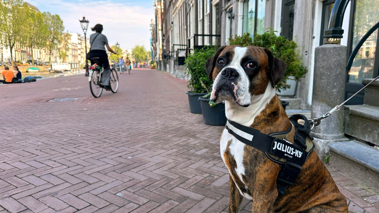 De parkeervrije Herengracht