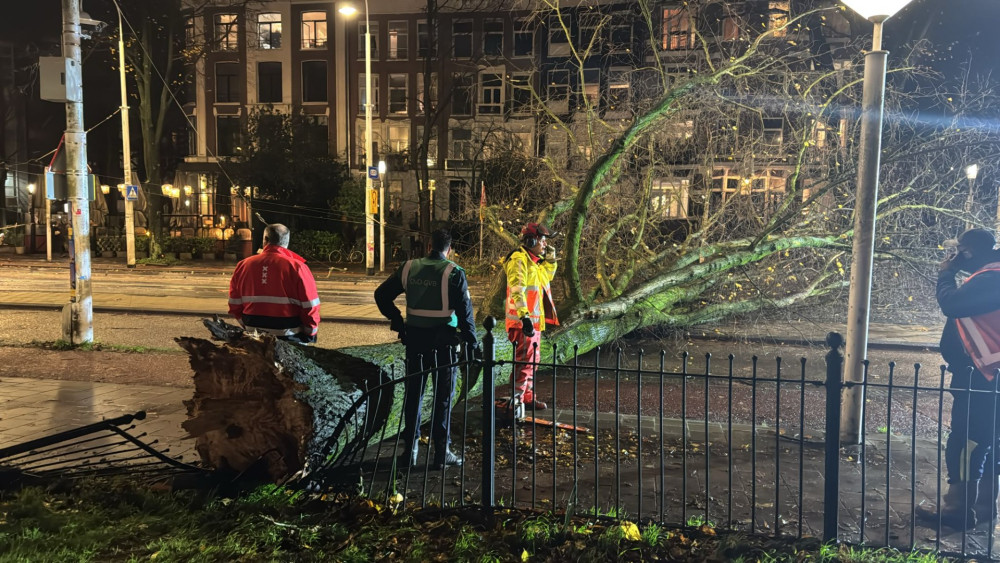 Boom omgevallen in Linnaeusstraat, storm zorgt niet voor grote incidenten