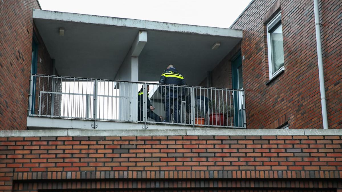 Verdachte van doden Amsterdamse Gianny-Davey (12) in Groningen is zijn vader
