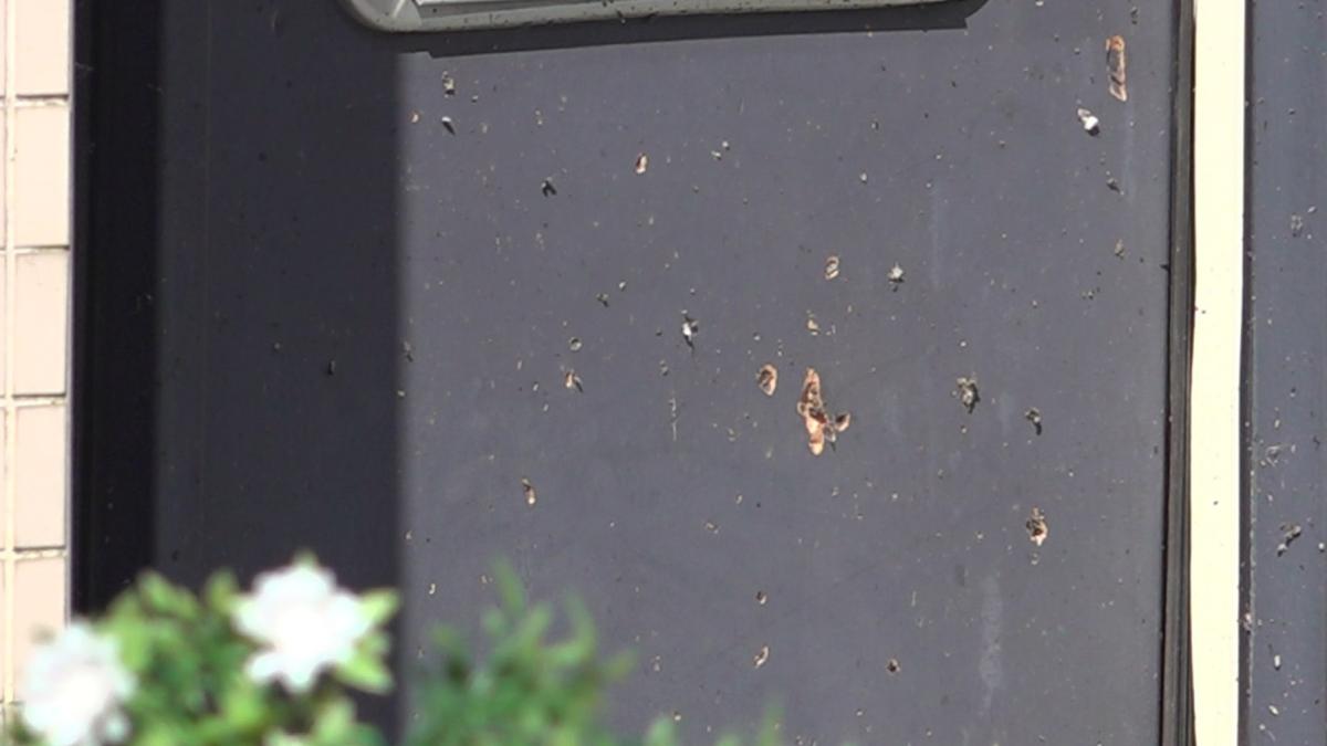 Twee jaar cel voor twintiger die explosief liet afgaan bij woning in Geuzenveld