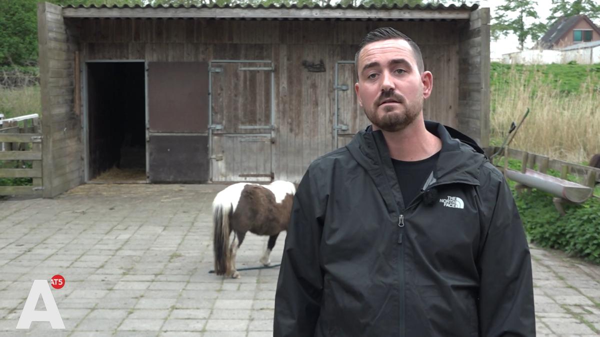 Pasgeboren veulen Joënna verdwenen uit Osdorp: 